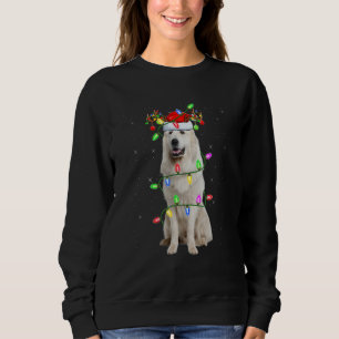 Schnauzer Christmas Tree Light Pajama Dog Xmas Sweatshirt