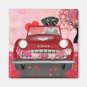 Schnauzer Dog Car with Hearts Valentine's Magnet