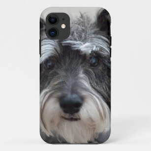 Schnauzer Dog iPhone 11 Case