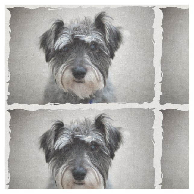 Schnauzer Dog Fabric (Close Up)
