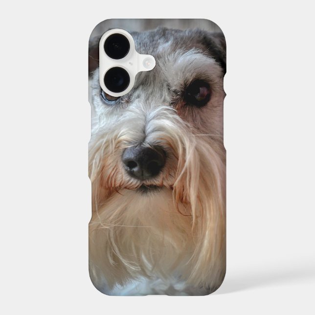 Schnauzer Dog face (Back)
