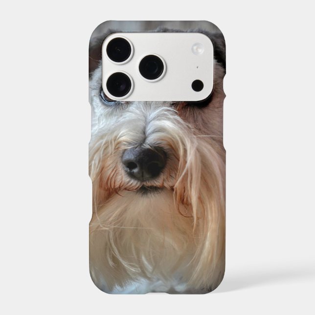 Schnauzer Dog face (Back)