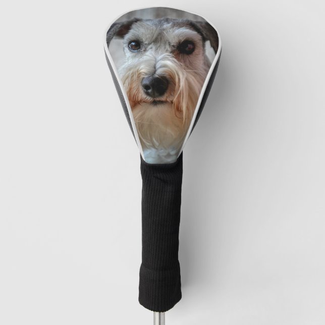 Schnauzer Dog face Golf Head Cover (Front)