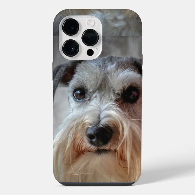 Schnauzer Dog face iPhone Case (Back)