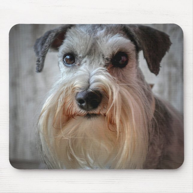 Schnauzer Dog face Mouse Pad (Front)