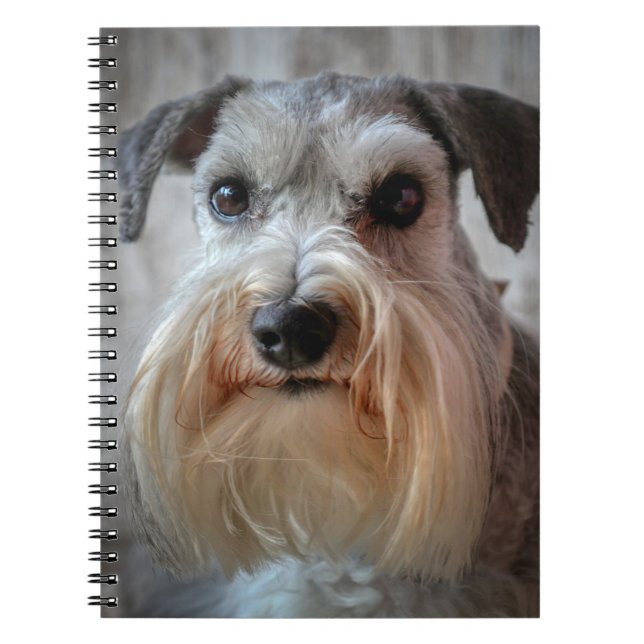 Schnauzer Dog face Notebook (Front)