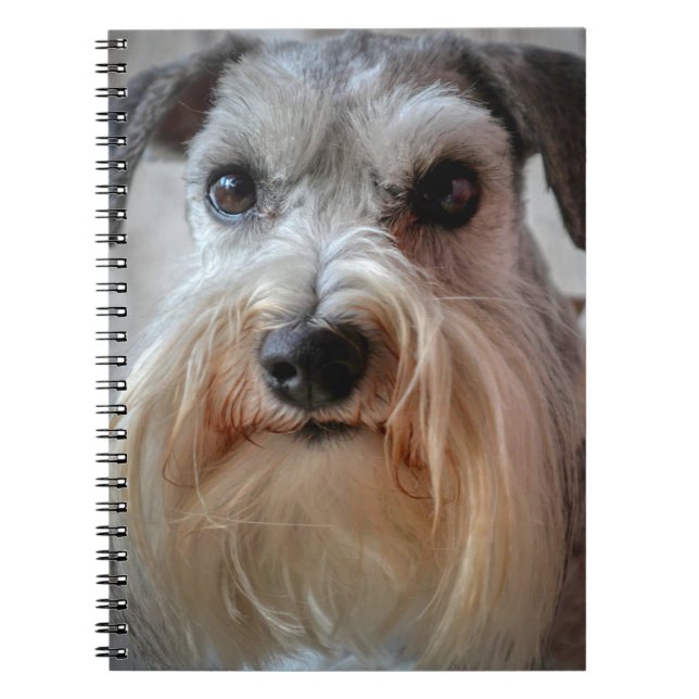Schnauzer Dog face Notebook (Front)