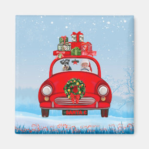 schnauzer Dog In Car With Santa Claus Magnet
