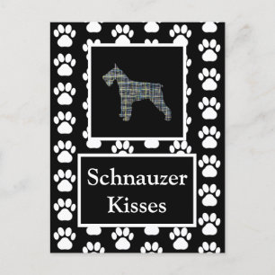 Schnauzer Dog Kisses Silhouette Yellow & Blue Grid Postcard