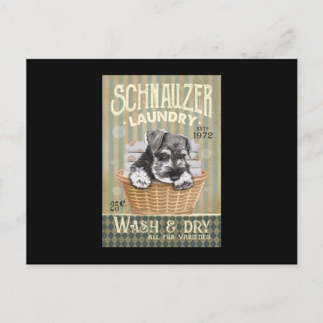 Schnauzer Dog Postcard (Front)