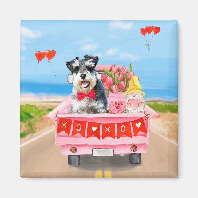 Schnauzer Dog Valentine's Day Truck Hearts Magnet (Front)