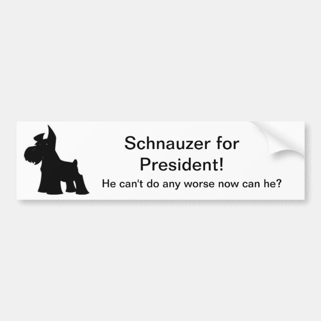 Schnauzer for President Bumper Sticker (Front)