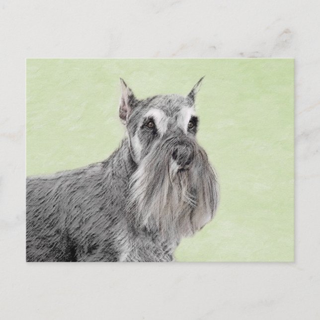 Schnauzer (Giant, Standard) Painting - Dog Art Postcard (Front)