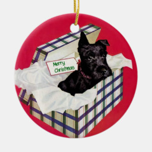 Schnauzer in a Gift Box Ornament
