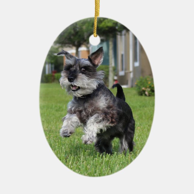 Schnauzer, joy ceramic tree decoration (Front)