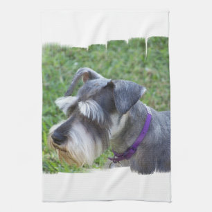 Schnauzer Kitchen Towel