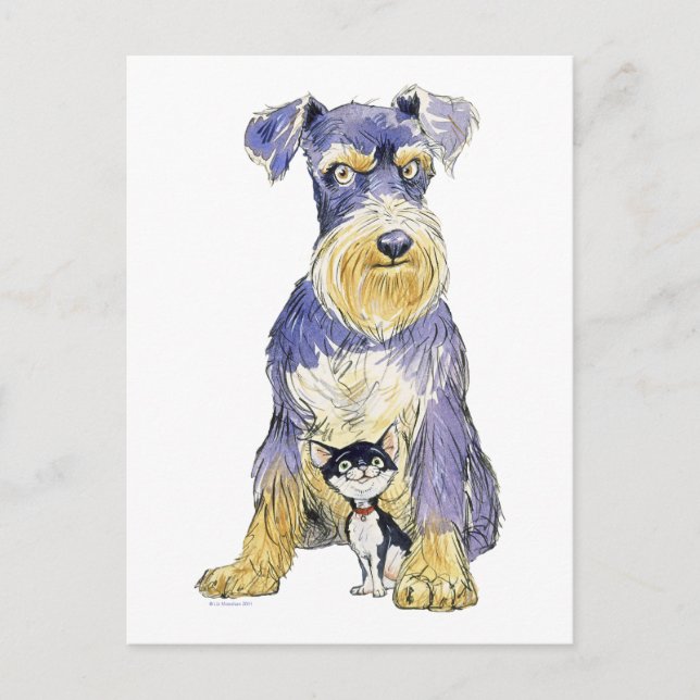 Schnauzer & Kitten postcard (Front)