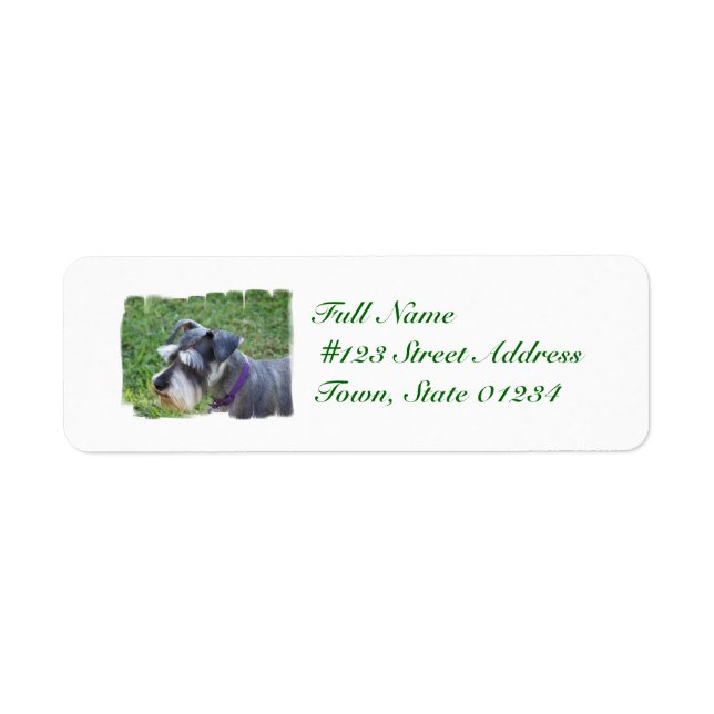 Schnauzer Mailing Labels (Front)