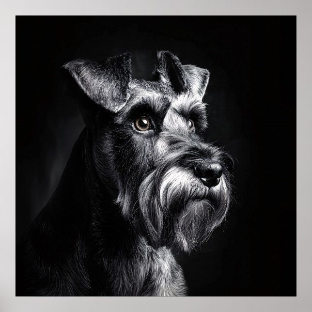 Schnauzer Monochrome Portrait Poster (Front)