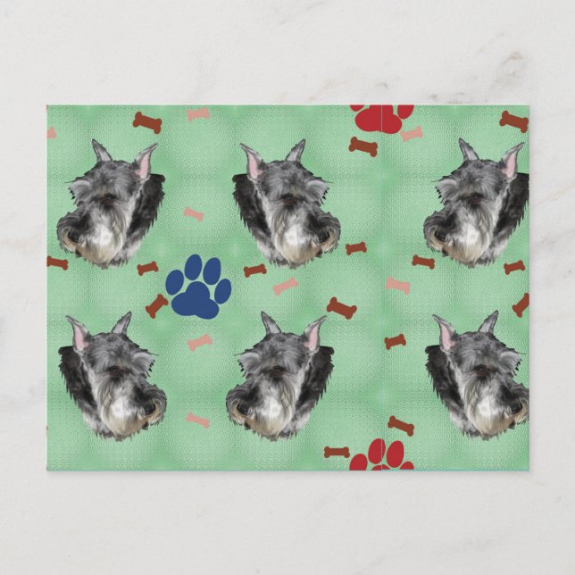 Schnauzer Portrait Postcard (Front)