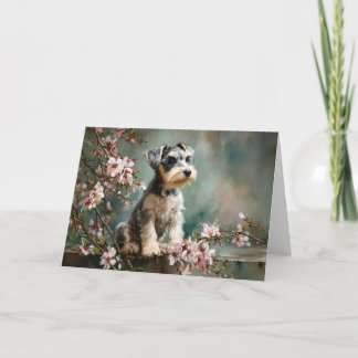 Schnauzer Puppy Among Spring Cherry Blossoms Card