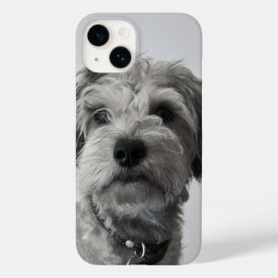 Schnauzer Puppy Case-Mate iPhone 14 Case