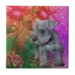 Schnauzer Puppy Dog Animal Art Ceramic Tile