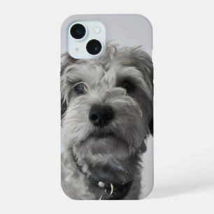 Schnauzer Puppy iPhone 15 Case