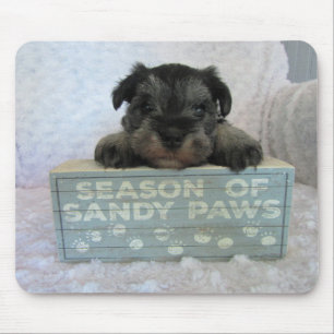 Schnauzer Puppy mouse pad