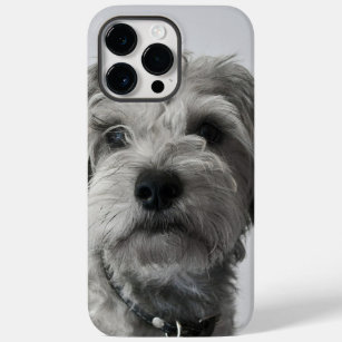 Schnauzer Puppy Portrait Photo Case-Mate iPhone 14 Pro Max Case