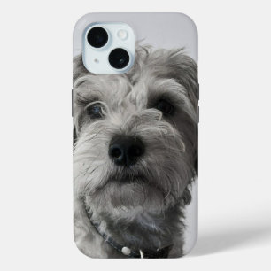 Schnauzer Puppy Portrait Photo iPhone 15 Case