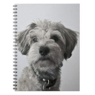 Schnauzer Puppy Portrait Photo Notebook