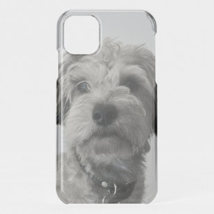 Schnauzer Puppy Portrait Photo iPhone 11 Case