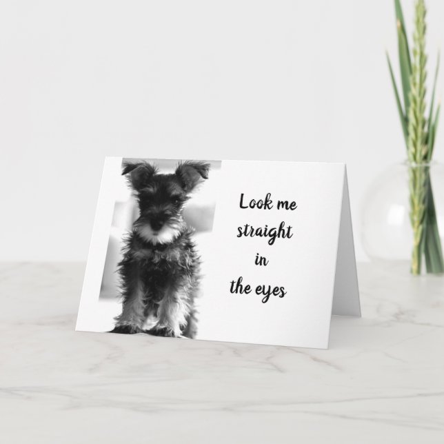 SCHNAUZER SAYS "YOU STILL LOOK 59" "60TH BIRTHDAY" CARD (Front)