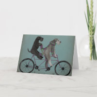 Schnauzer Tandem