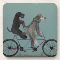 Schnauzer Tandem