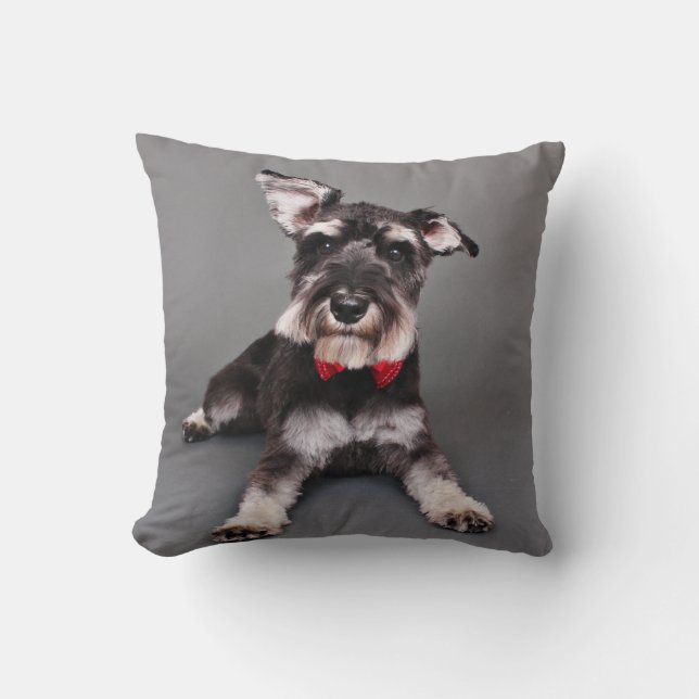 Schnauzer - Tom Dooley Cushion (Front)