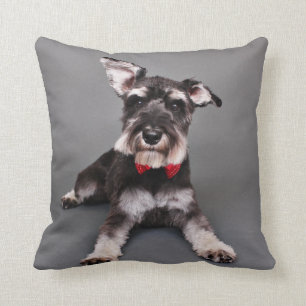 Schnauzer - Tom Dooley Cushion
