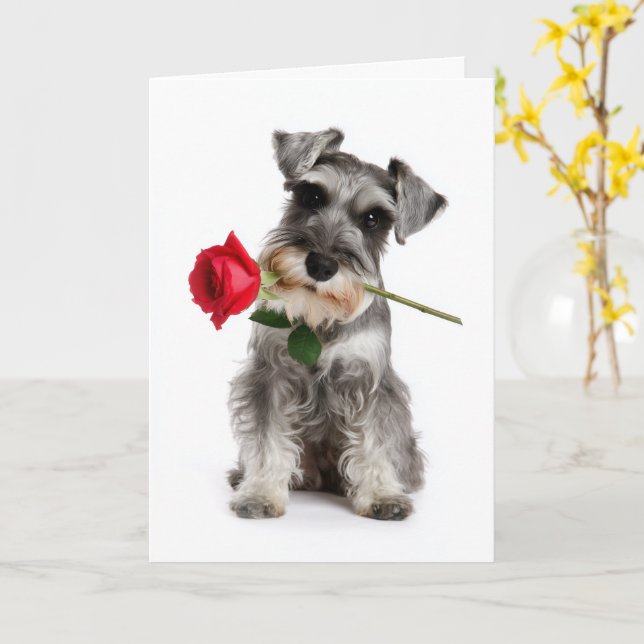 Schnauzer Valentine – Faithful Love with a Rose Card (Yellow Flower)
