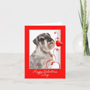 Schnauzer Valentine's Day Card