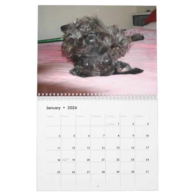 Schnauzers Calendar (Jan 2026)