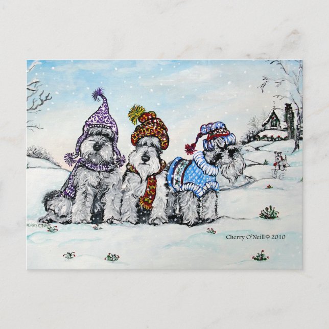 Schnauzers in Winter Postcard (Front)