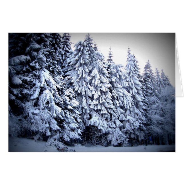 Schnee (Front Horizontal)