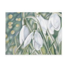 Schneeglöckchen - Farbstiftzeichnung