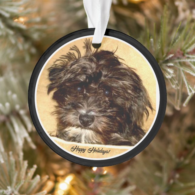 Schnoodle Acrylic Circle Ornament (Tree)