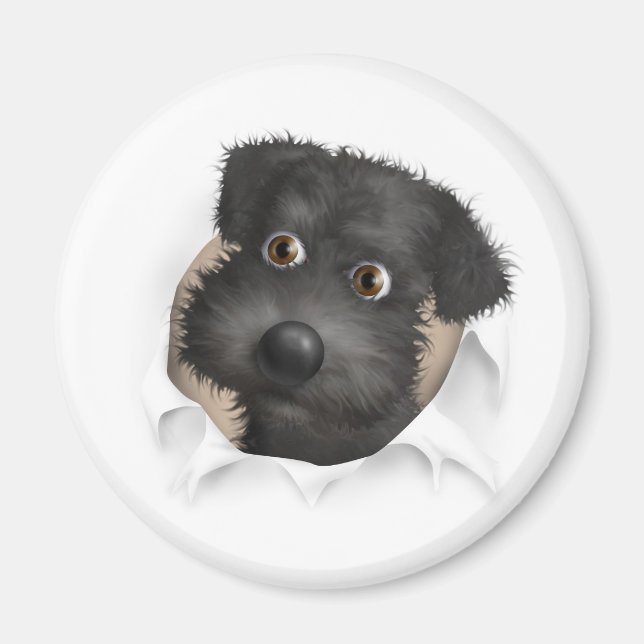 Schnoodle (Black) Busting Out Magnet (Front)