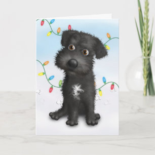 Schnoodle (Black) Christmas Holiday Card