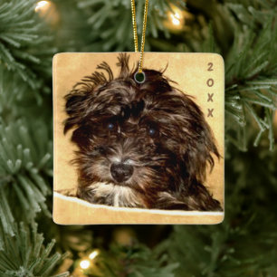 Schnoodle Ceramic Ornament