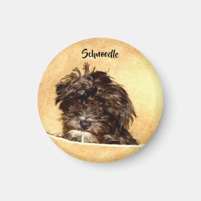Schnoodle Dog Round Magnet (Front)
