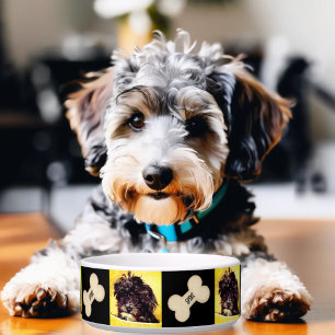 Schnoodle Medium Dog Bowl Personalised